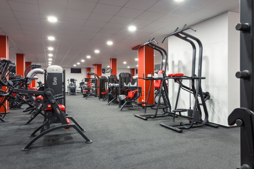 fitness-thor-07.jpg