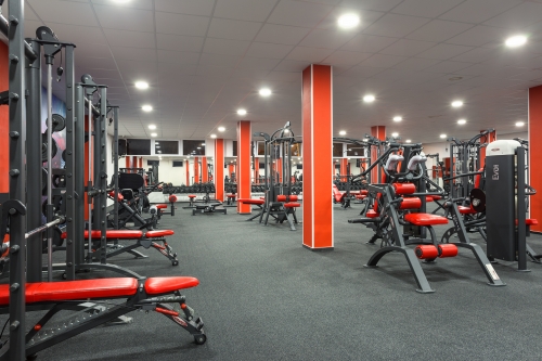 fitness-thor-08.jpg