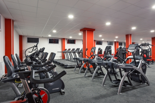 fitness-thor-09.jpg