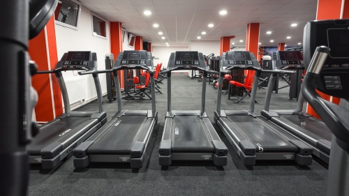 fitness-thor-10.jpg