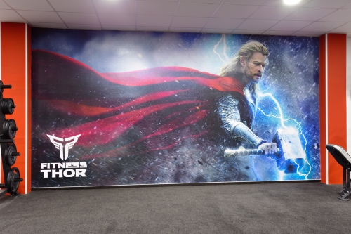fitness-thor-16.jpg